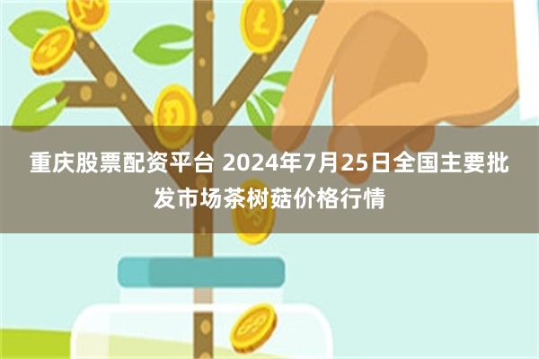 重庆股票配资平台 2024年7月25日全国主要批发市场茶树菇价格行情