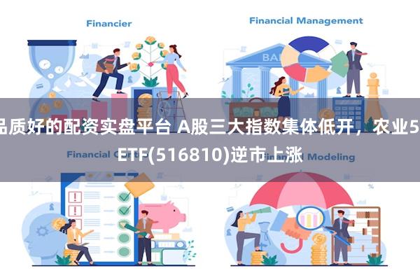 品质好的配资实盘平台 A股三大指数集体低开，农业50ETF(516810)逆市上涨