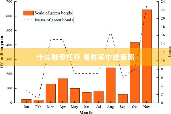 什么融资杠杆 高胜率中线策略